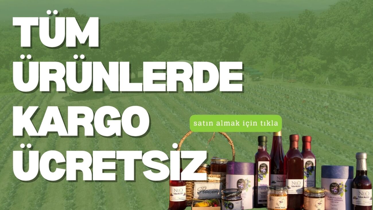 tüm ürünlerde kargo ücretsiz