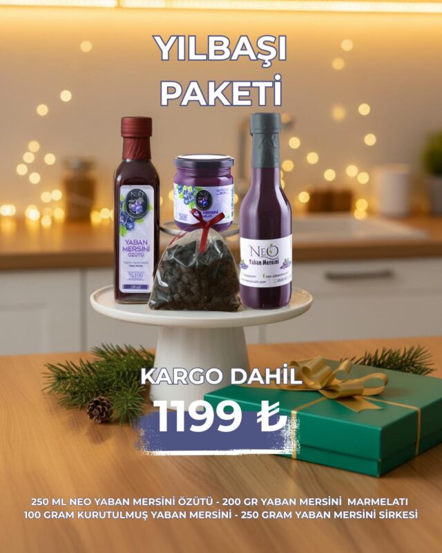 WhatsApp Image 2025-12-19 at 16.38.31