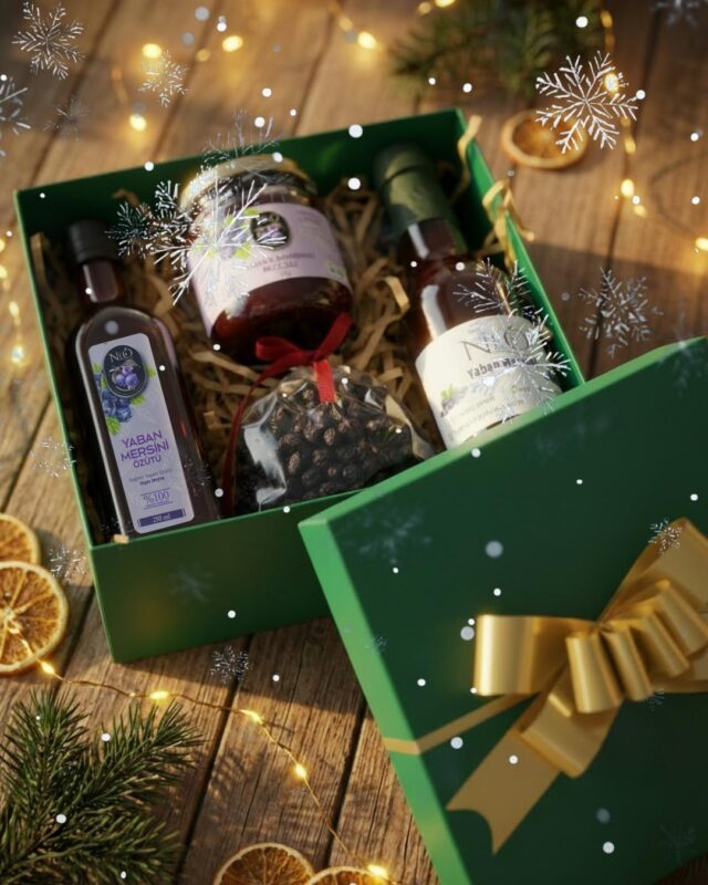 WhatsApp Image 2025-12-19 at 16.56.08